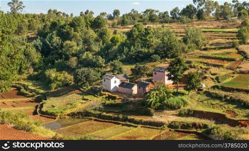 Houses made of bricks on a hilly landscape alongside a typical Malagasy rice farm