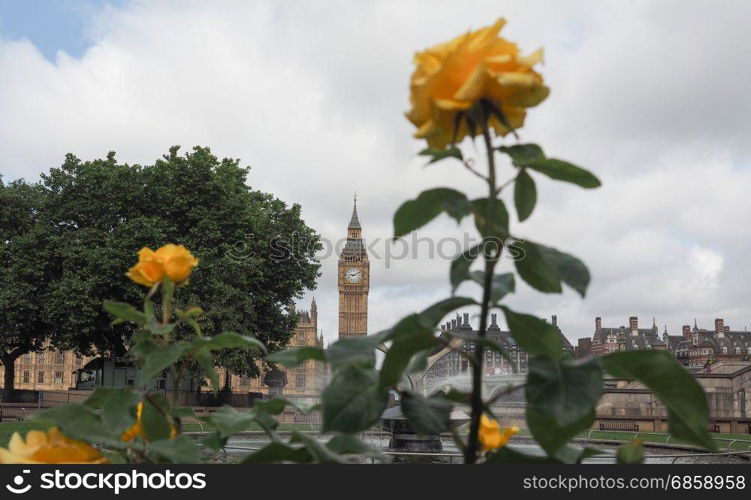 Houses of Parliament in London. Houses of Parliament aka Westminster Palace in London, UK - focus on Big Ben