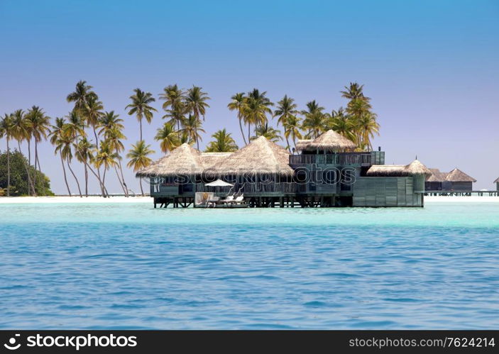 houses over the transparent quiet sea water and a palm tree. Maldives