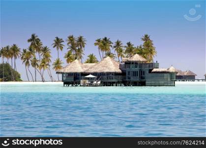 houses over the transparent quiet sea water and a palm tree. Maldives