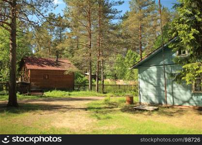houses surrounded by pine trees