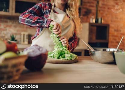Housewife in apron prepares salad, kitchen interior on background. Female cook making healthy vegetarian food, vegetables preparation. Housewife in apron prepares salad on the kitchen