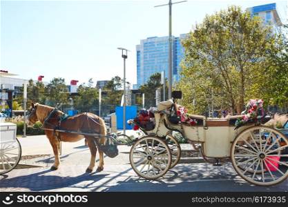Houston Discovery green park horse carriages Texas