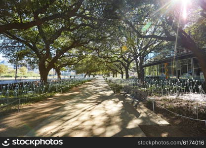 Houston Discovery green park in downtown Texas