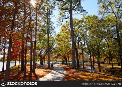 Houston Hermann park conservancy track at autumn in Texas