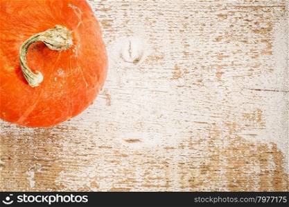 hubbard winter squash on a grunge white painted barn wood background with a copy space