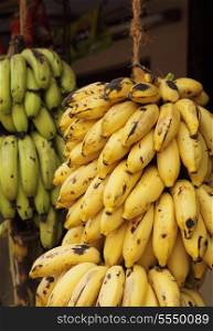 Huge bunches of bananas on sale at a shop in Kerala, South India.