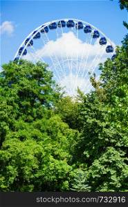 Huge ferris wheel behind high forest trees with blue sky in background. Tourist city attraction. Ferris wheel behind trees