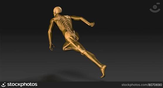 Human Anatomy with Visible Skeleton and Muscles Art