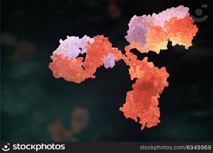 Human antibody (immunoglobulin). Human antibody (immunoglobulin). 3D illustration