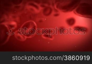 Human blood cells.