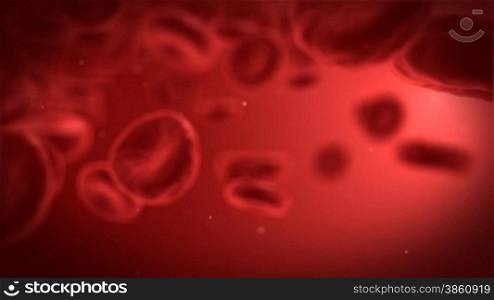 Human blood cells.