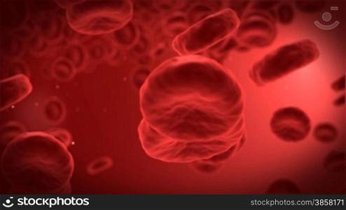 Human blood cells with one red cell in front