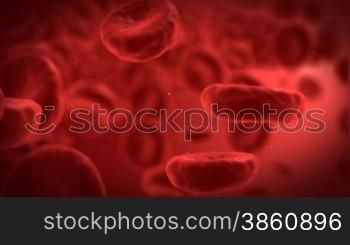 Human blood cells with one red cell in front