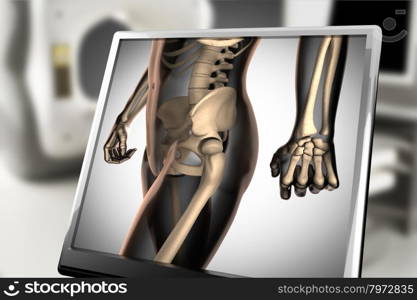 human bones radiography scan. x-ray image