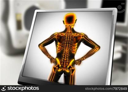 human bones radiography scan. x-ray image