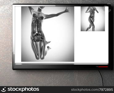 human bones radiography scan. x-ray image