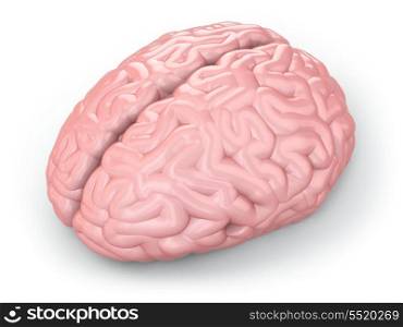 Human brain on white isolated background. 3d