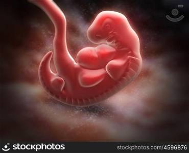 human embryo at the end of 5 weeks