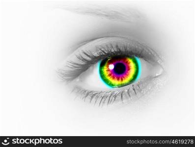 Human eye on grey background. Photo of the human eye against grey background