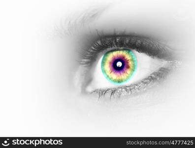 Human eye on grey background. Photo of the human eye against grey background