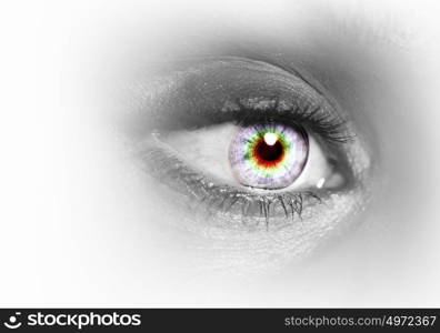 Human eye on grey background. Photo of the human eye against grey background