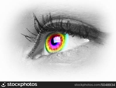 Human eye on grey background. Photo of the human eye against grey background