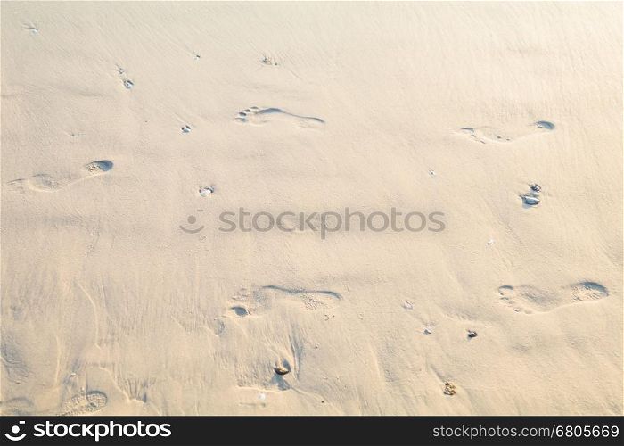 human footprints in sand on the beach