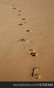 human footprints in the wet sand