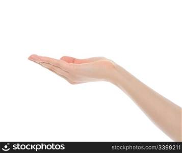 human hand held up. Isolated on white background