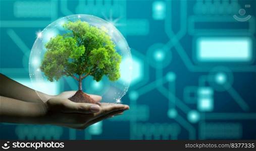 Human hand holding growing tree with wireframe globe. Network connection and Circuit Converging point background. Green IT, Nature Technology interaction, and Ecology concept. 