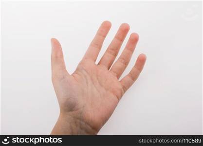 Human hand pointing on a white background