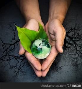 Human hands holding a green globe of planet Earth on green leaves over tree and grey background. Human hands holding a green globe of planet Earth on green leaves