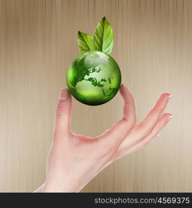 human hands holding green earth with a growing plant