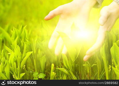 Human hands touching green grass. Beautiful shining betweet them.