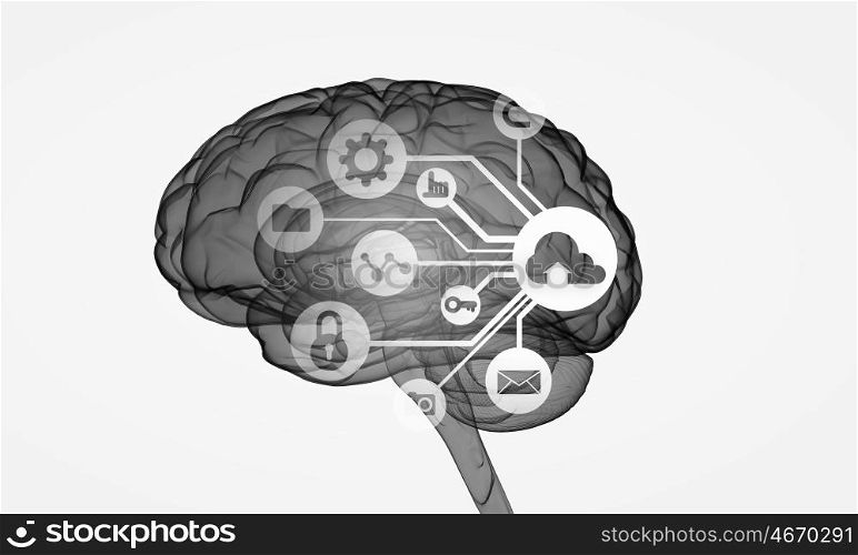 Human head with business ideas. Conceptual background image with human brain on white backdrop