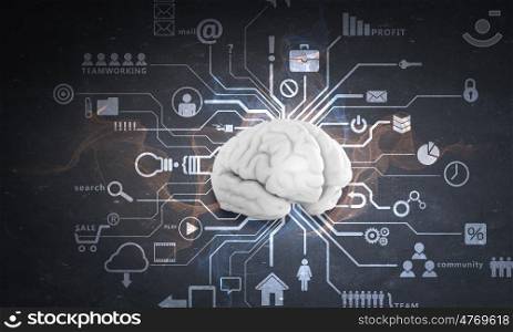 Human head with business ideas. Conceptual background image with human brain on white backdrop