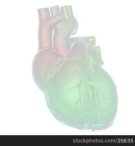 Human heart and veins. 3D illustration.