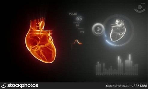 Human heart with pulse trace