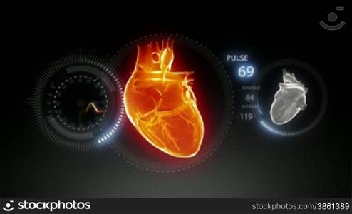 Human heart with pulse trace_2