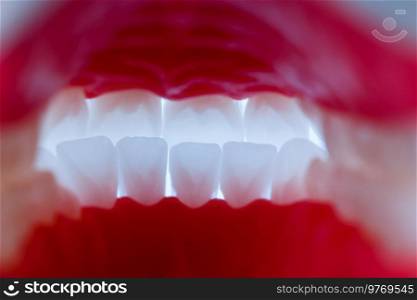Human jaw with teeth and gums anatomy model isolated on blue background. View from inside. Healthy teeth, dental care and orthodontic medical healthcare concept. Hi-quality copy space photo. . Human jaw with teeth and gums anatomy model isolated on blue background. View from inside. Healthy teeth, dental care and orthodontic medical healthcare concept. 