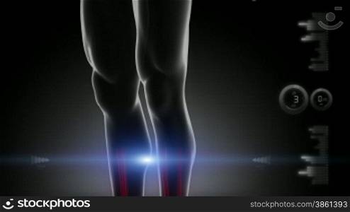 Human knee medicla scan