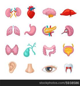 Human organs flat icons set with kidney liver brain stomach isolated vector illustration. Human Organs Set