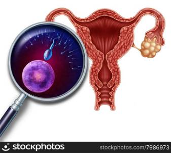 Human reproduction systenm concept as a cross section of a uterus with a magnifying glass close up view of the egg and sperm cells in the process of conception and fertilization as a medical symbol of female and male fertility.