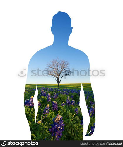 Human shape and nature, protecting environment, bluebonnet field. Human shape and nature, protecting environment, bluebonnet field flowers in Texas, USA. Human shape and nature, protecting environment, bluebonnet field flowers in Texas, USA