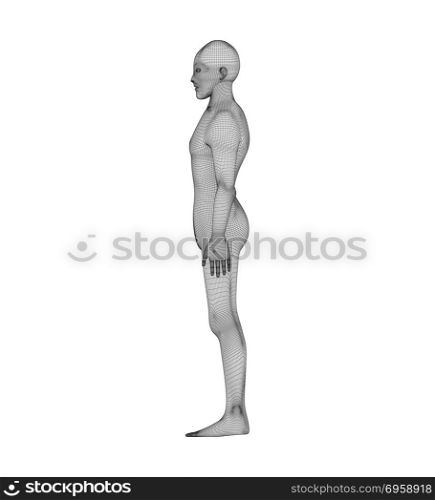 Human side view. Wireframe model with lines on white background,. Human side view. Wireframe model with lines on white background, artificial intelligence in futuristic technology concept, 3d illustration. Human side view. Wireframe model with lines on white background, artificial intelligence in futuristic technology concept, 3d illustration