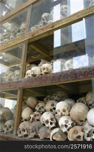 Human skeletons in racks, The Killing Fields, Choeung Ek, Phnom Penh, Cambodia