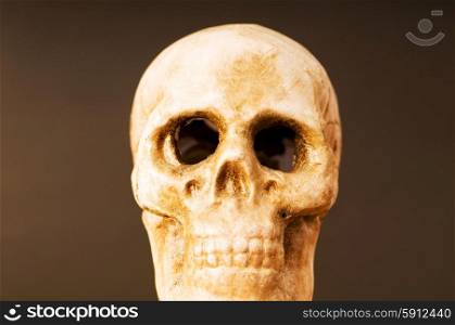 Human skull against dark background