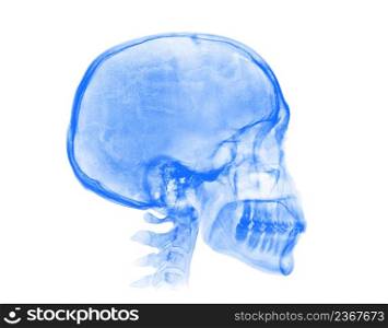Human skull. Blue X-ray image isolated on white background. Human skull. Blue X-ray image on white background
