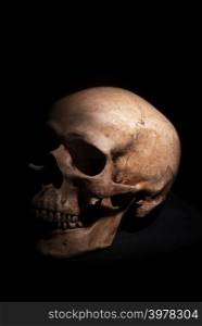 Human skull, Halloween concept